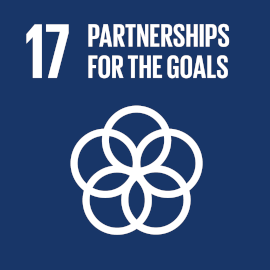 Partnerships to achieve the Goal